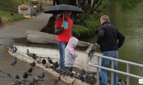 Погода в Кирове: предстоящая неделя будет дождливой