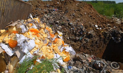 В Кировской области будут уничтожать санкционные продукты