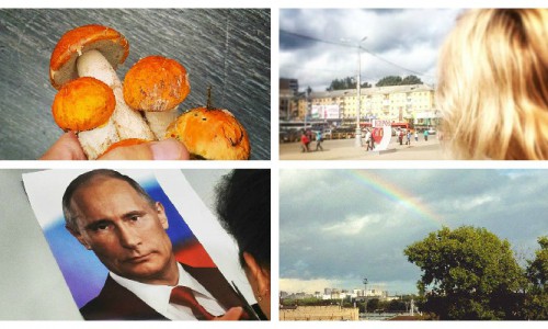 Вторник в Кирове: следы на потолке и красные головики