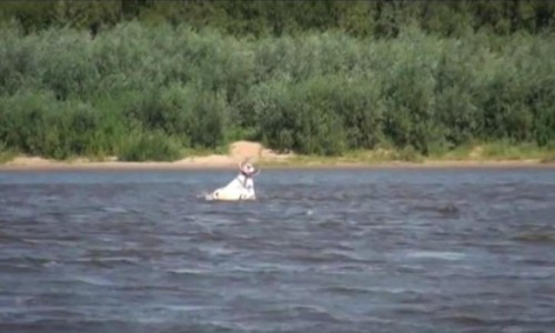 Видео: в Кировской области катер врезался в понтон