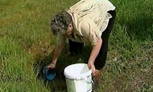 В Котельниче пенсионерка пьет дождевую воду, из-за того, что у нее два месяца нет другой воды