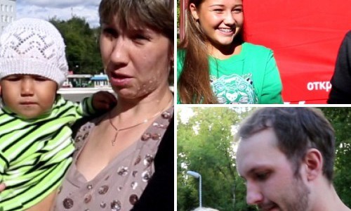 Видео: кировчане рассказали, как решить проблему с бездомными животными на улицах