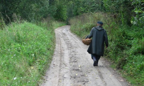 В Кировской области в лесу заблудился мужчина