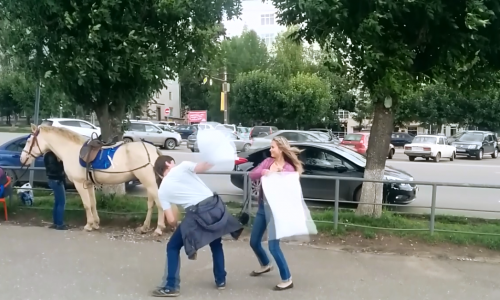 Эксперимент progorod43.ru: согласятся ли кировчане устроить бой подушками на улице?