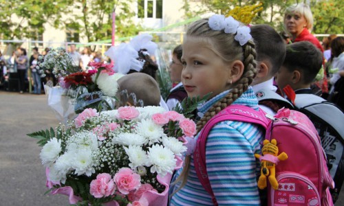 Готовимся к 1 сентября: сколько будут стоить цветы к празднику?