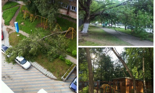 Ураганы в Кирове: сколько разрушений принесли сильные ветры этим летом