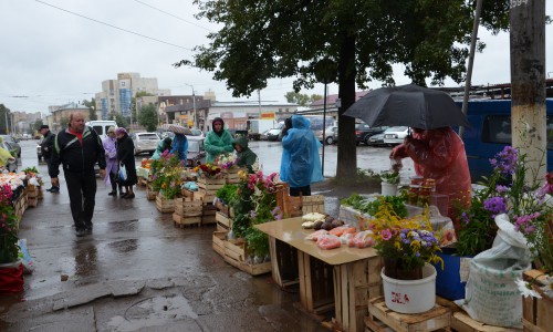 Кировчане вновь вышли на митинг против сноса ярмарки на Комсомольской