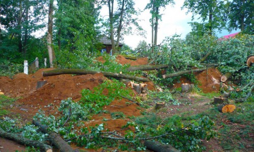 В Кировской области уничтожили историко-природный памятник и раскопали кладбище ради строительства монастыря