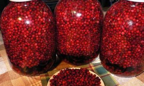 В Кировской области вор украл из садового домика 200 килограммов брусники