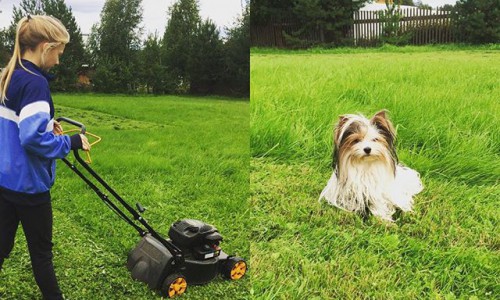 Понедельник в Кирове: сенокос, осень в городе и кексики с черникой