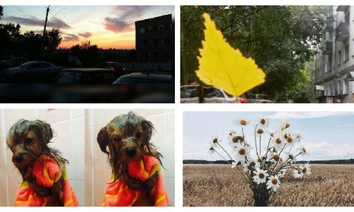 Вторник в Кирове: вертолет в Вятских Полянах и мокрые собачки