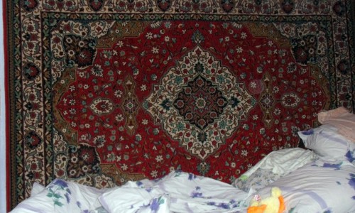 В Кировской области 29-летний парень украл ковры, чтобы создать уют в доме