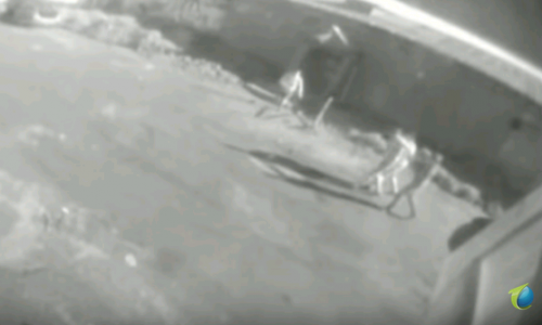 Кировчанина похитили возле ночного клуба: появилось видео происшествия