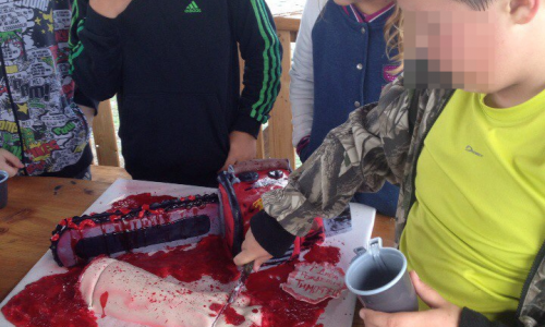 Кировчанка подарила сыну "кровавый" торт: органы опеки назвали семью положительной