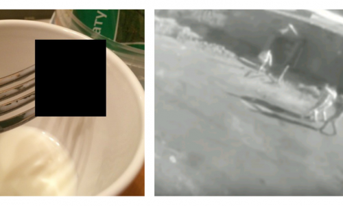 Что обсуждают в Кирове утром: видео похищения у клуба и насекомое в еде