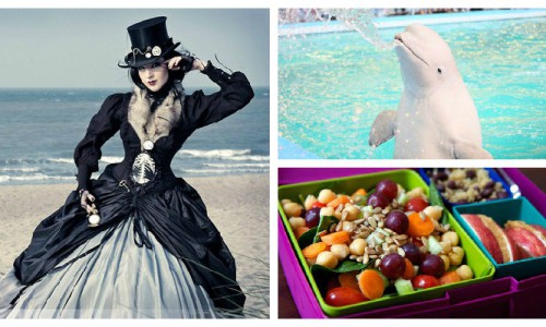 Нескучный weekend в Кирове: стимпанк бал и дельфинарий