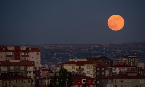 Сегодня ночью можно будет увидеть суперлуну