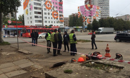 В Кирове на месте будущей парковки у вокзала начали убирать деревья