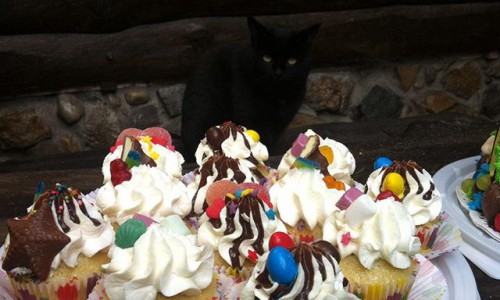 Вторник в Кирове: чем занимаются горожане в первый день осени?