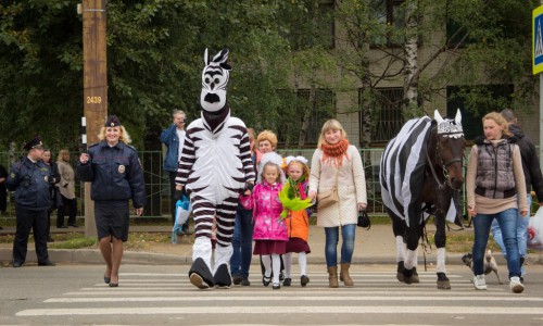 Кировских школьников 1 сентября через дорогу переводили пингвин и зебра
