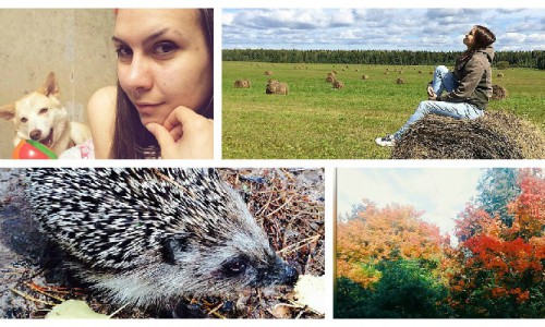 Среда в Кирове: осень, еж и первая пара, с которой отпустили