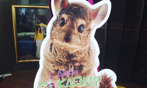 Четверг в Кирове: день рождения, рабочие будни и странная надпись