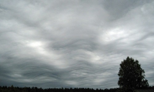 В Кировской  области были замечены редкие облака