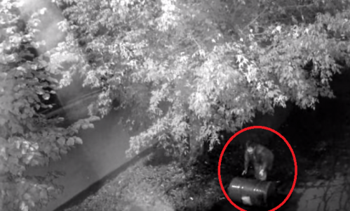 Видео: в Кировской области женщина ночью катила огромную бочку, разбудив грохотом полгорода