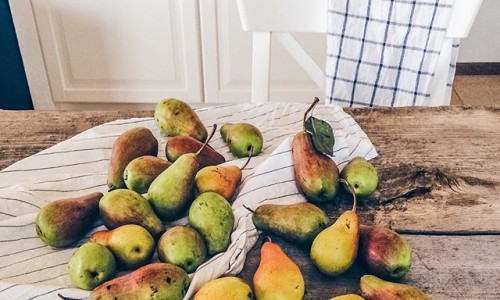 Среда в Кирове: последние дни отпуска и сказочная осень