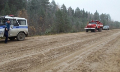 В Кировской области водитель «семерки» насмерть сбил лося