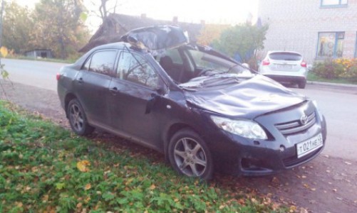 В Кировской области на трассу выбежал лось: двое пострадавших