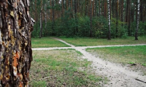 Причины популярности дач в дальнем Подмосковье