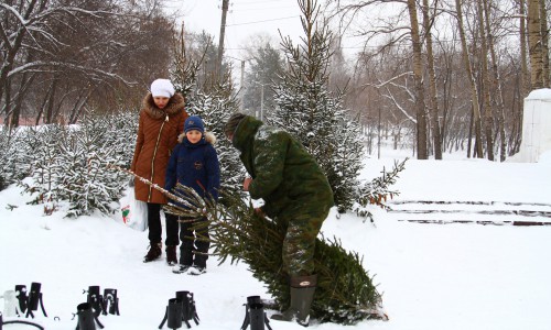 Карта: торговать елками к Новому году в Кирове будут в пяти местах