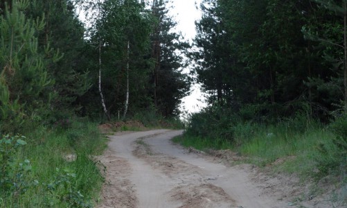 В Кировской области в лесу нашли труп пропавшего мужчины