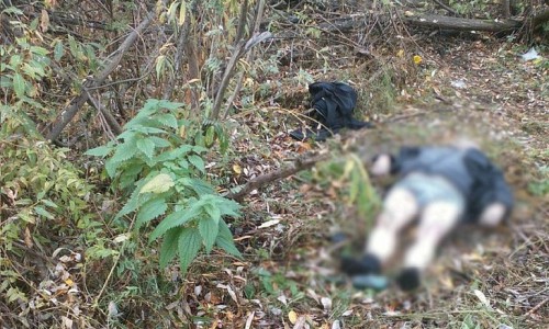 В Кирове нашли обнаженное тело неизвестного мужчины