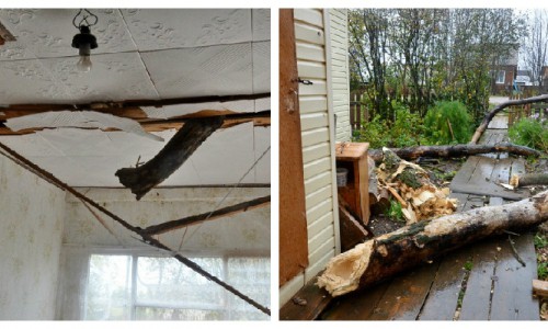 В Кировской области сук тополя пробил крышу жилого дома