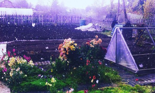 Вторник в Кирове: сырое настроение, фотоаппарат мечты и первый снег