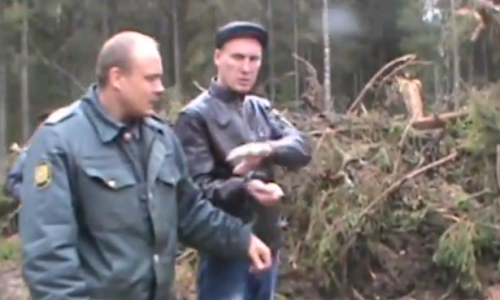 В Кировской области в лесу нашли труп пропавшего мужчины: подробности происшествия