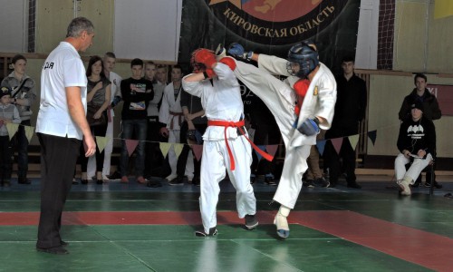 Фото: в Кировской области прошел всероссийский турнир по рукопашному бою
