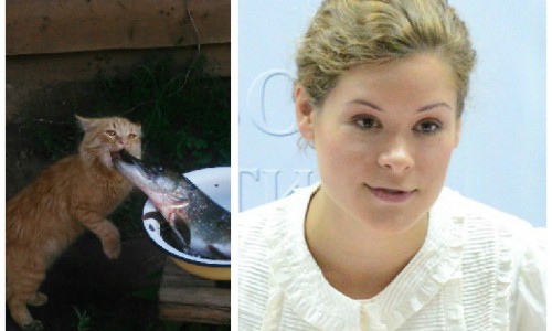 Что обсуждают в Кирове этим утром: у Гайдар хотят забрать приемную дочь и фото котиков