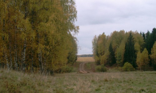 Кировская область попала в «Книгу рекордов России»