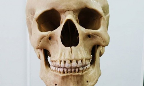 Пятница в Кирове: чистая планета, солнце в городе и школьные дни