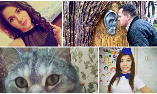 Выходные в Кирове: "чихосемья" и кот, с которым надо быть на стороже