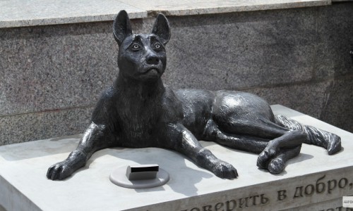 «Собака-копилка» в Кирове собрала 80 тысяч рублей