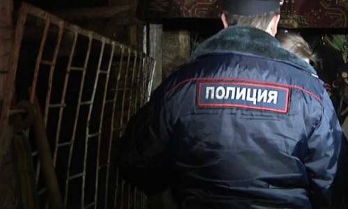 Кировские полицейские забрали лошадей из конюшни, где погиб пони