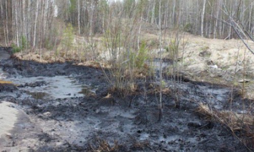 В Кировской области произошел разлив нефтепродуктов