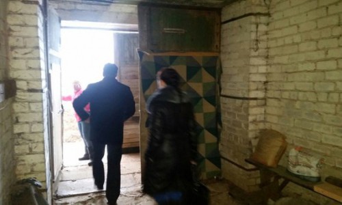 Неизвестные попытались забрать у кировских волонтеров лошадей, которых недавно спасли от голодной смерти