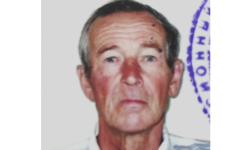 В Кировской области ищут мужчину, который ушел за ягодами в лес и пропал