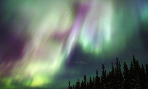Сегодня ночью кировчане могут увидеть северное сияние