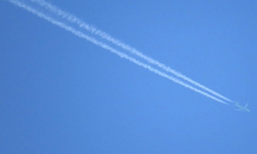 В Интернете появилось предполагаемое видео падения самолета в Египте